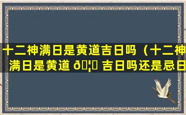 十二神满日是黄道吉日吗（十二神满日是黄道 🦁 吉日吗还是忌日）
